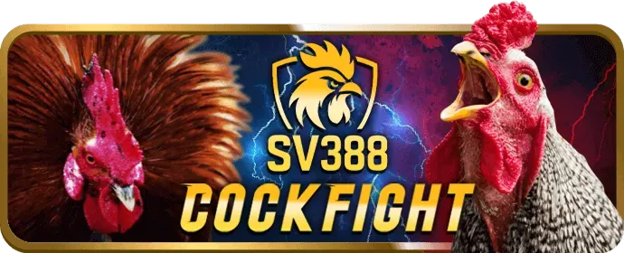 Hoàn Trả Thể Thao & Casino Combet