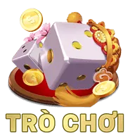 Chính sách bảo mật quyền riêng tư Combet